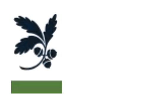 BOSTON PARKS AND RECREATION COMMISSION DESIGN REVIEW