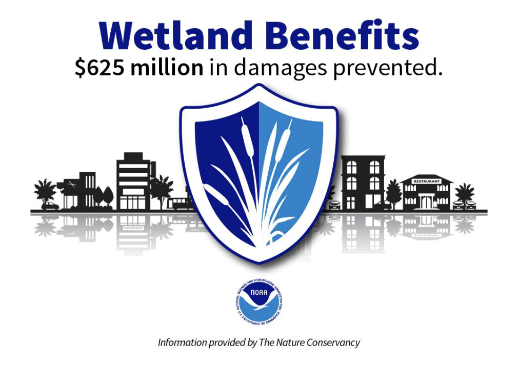 Wetland Benefits – Office for Coastal Management