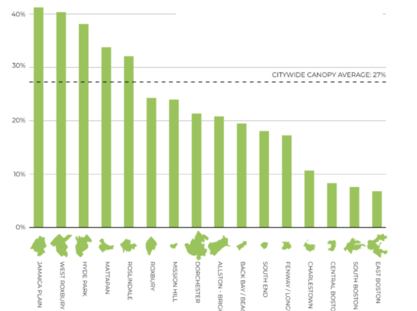 We must preserve Charlestown’s existing tree canopy.
