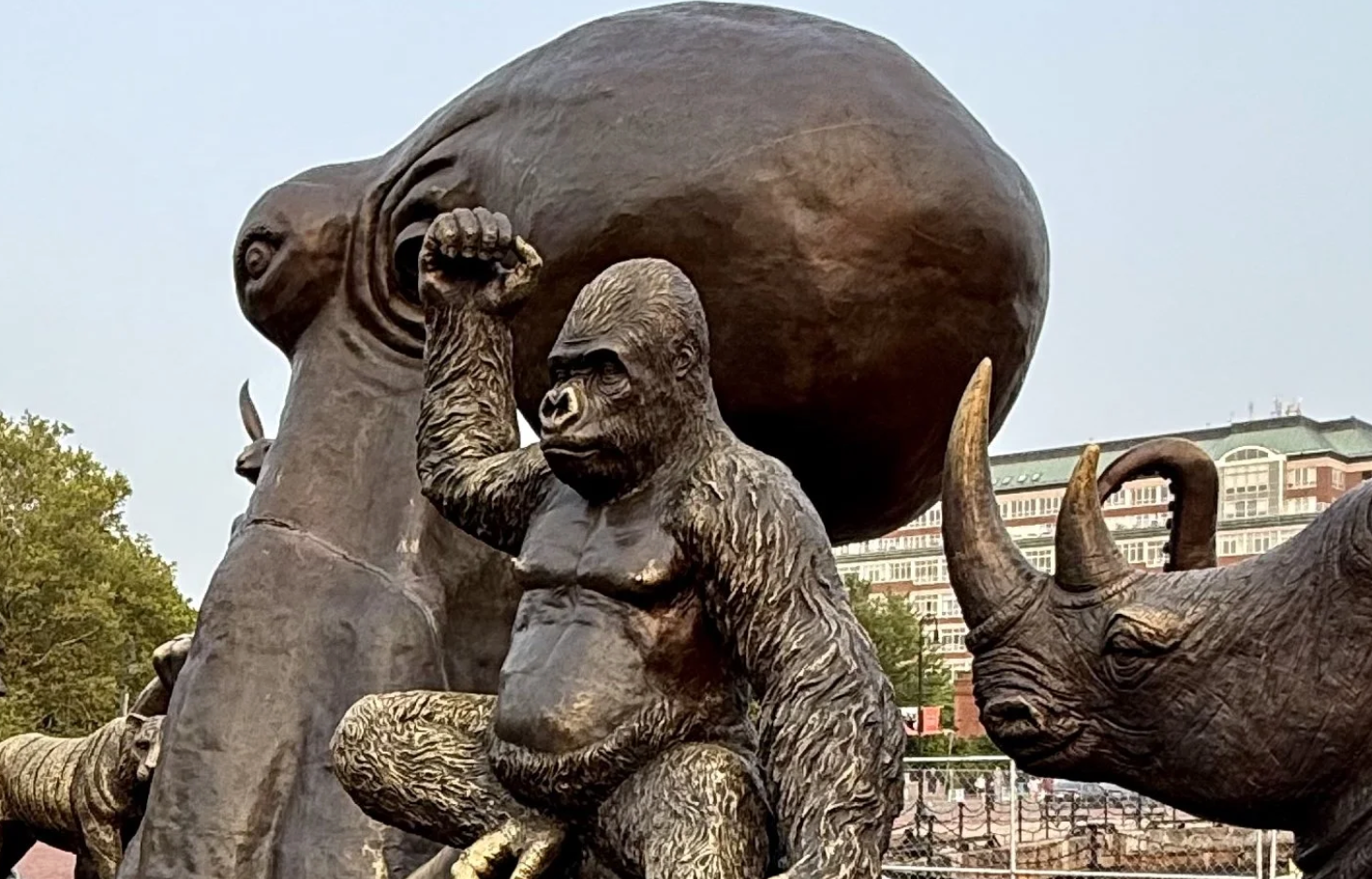 Experience the Bridge of Joy