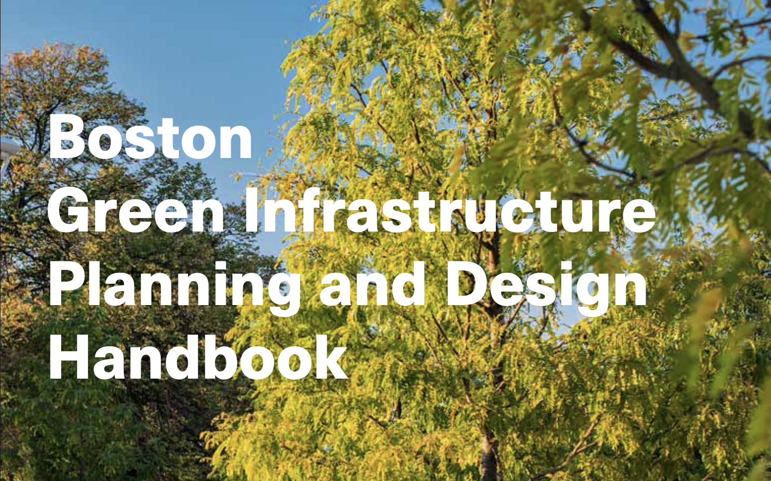 Boston Green Infrastructure Planning and Design Handbook