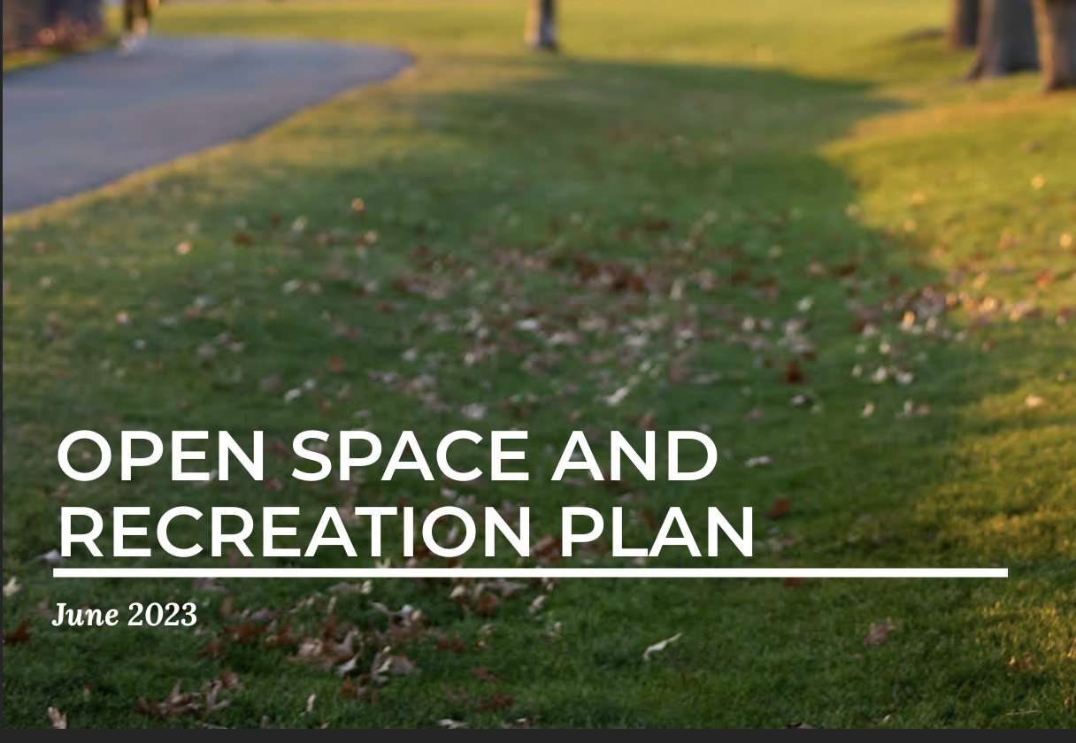 OPEN SPACE AND RECREATION PLAN 2023-2029 (2023?) City of Boston